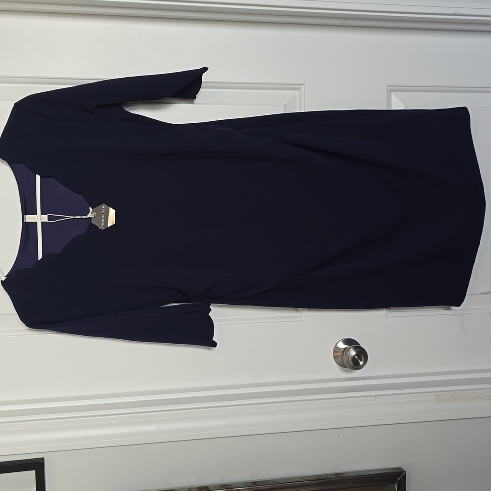 Pinkblush Maternity Elegant Navy Blue Dress